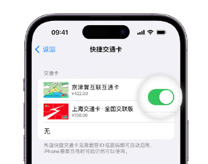 惠民apple维修点分享iPhone上更换Apple Pay快捷交通卡手绘卡面 