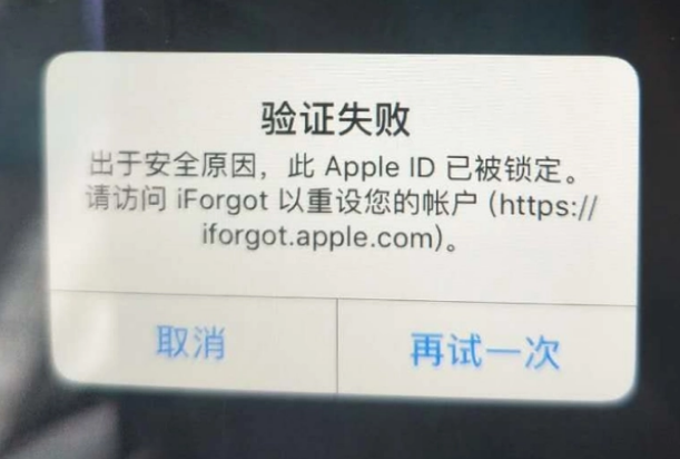 惠民iPhone维修分享iPhone上正常登录或使用AppleID怎么办 