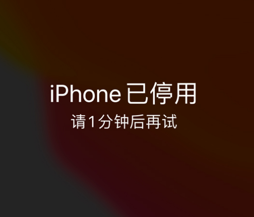 惠民苹果手机维修分享:iPhone 显示“不可用”或“已停用”怎么办？还能保留数据吗？ 