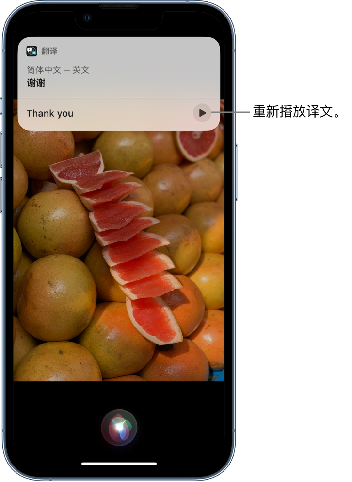 惠民苹果14维修分享 iPhone 14 机型中使用 Siri：了解 Siri 能帮你做什么 