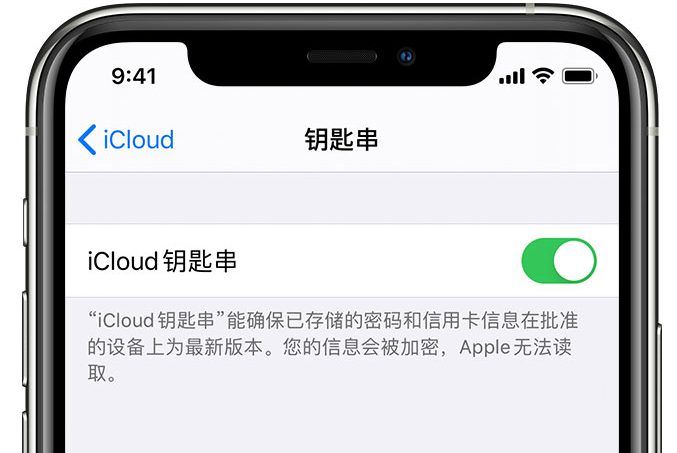 惠民苹果手机维修分享在 iPhone 上开启 iCloud 钥匙串之后会储存哪些信息 